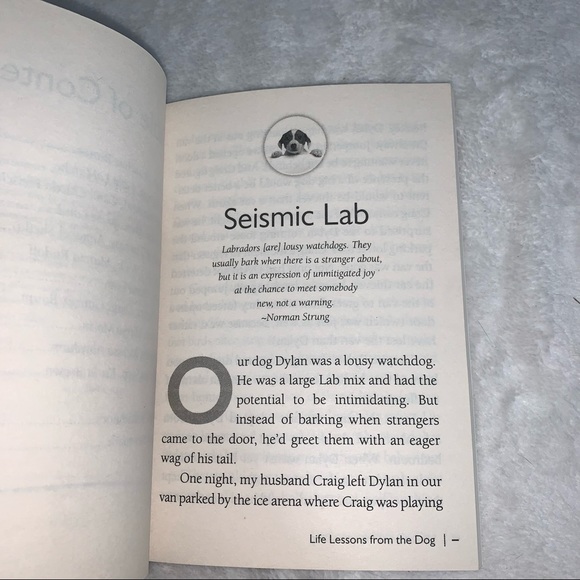 Life Lessons from the Dog by Amy Newmark - Picture 5 of 10